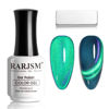 Picture of RARJSM Aurora Cat Eye Gel Nail Polish Blue Green Purple Multi Color Velvet Diamond Cateye Gel Polish with Magnet Stick Reflective Shimmer UV LED Curing Requires Soak Off for Home Salon Manicure 15ml