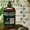 Picture of Antifungal Body Wash with Tea Tree Oil | Antibacterial Soap for Back Acne,Treats Ringworm, Eczema & Jock Itch | Antibacterial Body Soap For Men And Women | Includes Silicon Body Scrubber (16.9 oz)