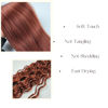 Picture of Ginger Brown Braiding Hair for Boho Braids Curly Boho Braiding Hair Boho Hair for Braiding Braids