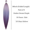 Picture of Leticia Ombre Dream Purple Braiding Hair Pre Stretched Kanekalon Braiding Hair