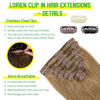 Picture of LORIEN Clip in Hair Extensions Real Human Hair, 18 Inch 100g, 6 Medium Brown, Clip in 100% Brazilian Remy Human Hair Extensions 8pcs Per Set with 18 Clips Double Weft