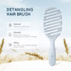 Picture of Ecoed Hair brush, Vented Detangling Brush, Quickly Detangles and Smooths hair for Curly, Thick, and Straight Hair, Hair Brush for Women and Men, Blue, Eco Friendly, Sustainable Material