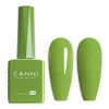 Picture of CANNI Green Gel Nail Polish, 1Pcs Pastel Lime Sage Light Green Gel Polish Bringt Mint Green Color Nail Polish Gel High Gloss Soak Off U V Gel Nail French Nail Manicure Salon DIY
