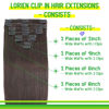 Picture of LORIEN Clip in Hair Extensions Real Human Hair, 16 Inch 90g, 2 Darkest Brown, Clip in 100% Brazilian Remy Human Hair Extensions 8pcs Per Set with 18 Clips Double Weft