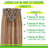 Picture of LORIEN Clip in Hair Extensions Real Human Hair, 18 Inch 100g, 4/27 Chocolate Brown to Caramel Blonde, Clip in 100% Brazilian Remy Human Hair Extensions 8pcs Per Set with 18 Clips Double Weft