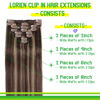 Picture of LORIEN Clip in Hair Extensions Real Human Hair, 24 Inch 120g, 2/6 Dark Brown to Chestnut Brown, Clip in 100% Brazilian Remy Human Hair Extensions 8pcs Per Set with 18 Clips Double Weft