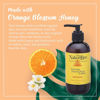 Picture of The Naked Bee Orange Blossom Honey Hand & Body Lotion, 8 oz - 2 Pack