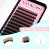 Picture of VAVALASH Brown W-shaped Eyelash Extension Brown 3D Premade Fans 0.07 C Curl Volume Lash Extensions Easy Fanning Lashes Matte Brown YY Lashes W Lashes(Brown-W-3D-0.07-C-8-15mm）