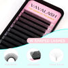 Picture of VAVALASH 7D W Shape Eyelash Extension 7D Premade Fans 0.07 C Curl Volume Lash Extensions Easy Fanning False Lashes Matte Black Volume Premade Cluster W Lashes(W Shaped-7D-0.07-C-8-15mm）