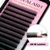 Picture of VAVALASH 6D W Shape Eyelash Extension 6D Premade Fans 0.07 C Curl Volume Lash Extensions Easy Fanning False Lashes Matte Black Volume Premade Cluster W Lashes(W Shaped-6D-0.07-C-13mm）