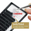 Picture of Lashview 0.20mm Ellipse Flat False Eyelash Extensions Extremely Soft Application-friendly Lashes C Curl 13mm