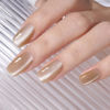 Picture of AILLSA Cat Eye Gel Nail Polish Champagne Gold Crystal Gel Polish with Magnet, Jelly Glitter Glass Gel Nail Polish Reflective Sparkle Translucent Shimmer Color U V Gel Salon DIY at Home 0.5 OZ GF29