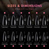 Picture of Ranrose Almond Nail Tips 240pcs Long Soft Gel Nail Tips Clear Full Cover Almond Press on Nail 12 Sizes Pre-shape Acrylic Almond Shaped Nail Tips for Nail Extensions