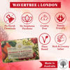 Picture of Wavertree & London Persimmon & Red Currant Scented Natural Soap Bars (2 Bars), 7 oz Moisturizing French Triple Milled Soap Bars enriched with shea butter, Plant Oil Bath & Body Soap for Women & Men