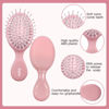 Picture of 12 Pieces Mini Wet Hair Brush, Travel Detangling Brush, for Most Hair Types, with Ease Knots Without Tears or Breakage, Multicolor
