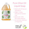 Picture of Brittanie's Thyme Organic Olive Oil Castile Liquid Soap Refill, 1 Gallon Unscented | Made with Natural Luxurious Oils, Vegan & Gluten Free Non-GMO, For Face, Body, Dishes, Pets & Laundry