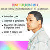 Picture of Punky Colour 3-in-1 Color Depositing Hair Cleanser & Conditioner, 8.5 fl oz. (Metaluminous)