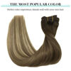 Picture of DOORES Remy Hair Extensions Clip in Human Hair Balayage Walnut Brown to Ash Brown and Bleach Blonde 120g 22 Inch 7pcs Clip in Real Hair Extensions Straight