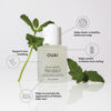 Picture of OUAI Scalp Serum - Balancing Hair Serum with Red Clover Extract, Siberian Ginseng and Peptides for Thicker and Fuller-Looking Hair - Paraben, Phthalate and Sulfate Free Scalp Care (2 Fl Oz)