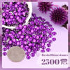 Picture of 2500PCS 5mm Resin Rhinestones in Bulk (Dark Violet), Bedazzling Flatback Crystals for Crafts DIY Nail Decoration, Gems Charms for Tumbler Shoes Clothing Fabric with Pickup Pen and Tweezers