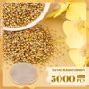 Picture of 5000PCS 3mm Resin Rhinestones in Bulk (Gold), Bedazzling Flatback Crystals for Crafts DIY Nail Decoration, Gems Charms for Tumbler Shoes Clothing Fabric with Pickup Pen and Tweezers