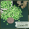 Picture of 2500PCS 5mm Resin Rhinestones in Bulk (Light Green), Bedazzling Flatback Crystals for Crafts DIY Nail Decoration, Gems Charms for Tumbler Shoes Clothing Fabric with Pickup Pen and Tweezers