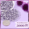 Picture of 5000PCS 2mm Resin Rhinestones in Bulk (Light Purple), Bedazzling Flatback Crystals Rhinestones for Crafting DIY Nail Decoration, Gems Diomand Charms for Tumbler Shoes Clothing Fabric