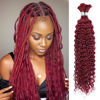 Picture of 100g 22 Inch Human Braiding Hair 99J Red Deep Wave Bulk Human Hair for Braiding No Weft 12A Brazilian Virgin Curly Human Hair Extensions for Boho Braids Wet and Wavy Burgundy Braiding Hair