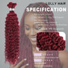 Picture of 100g 22 Inch Human Braiding Hair 99J Red Deep Wave Bulk Human Hair for Braiding No Weft 12A Brazilian Virgin Curly Human Hair Extensions for Boho Braids Wet and Wavy Burgundy Braiding Hair