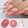 Picture of Double Rhythm 15ML Glitter Gel Polish Shimmer Reflective Holographic Color Magnetic for Nail Art Salon DIY at Home (B1142)