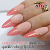 Picture of Double Rhythm 15ML Glitter Gel Polish Shimmer Reflective Holographic Color Magnetic for Nail Art Salon DIY at Home (B1142)