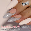 Picture of Double Rhythm 15ML Glitter Gel Polish Shimmer Reflective Holographic Color Magnetic for Nail Art Salon DIY at Home (B1136)