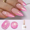 Picture of Double Rhythm 15ML Glitter Gel Polish Shimmer Reflective Holographic Color Magnetic for Nail Art Salon DIY at Home (B1141)
