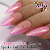 Picture of Double Rhythm 15ML Glitter Gel Polish Shimmer Reflective Holographic Color Magnetic for Nail Art Salon DIY at Home (B1141)