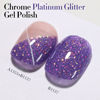 Picture of Double Rhythm 15ML Glitter Gel Polish Shimmer Reflective Holographic Color Magnetic for Nail Art Salon DIY at Home (B1137)