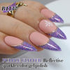 Picture of Double Rhythm 15ML Glitter Gel Polish Shimmer Reflective Holographic Color Magnetic for Nail Art Salon DIY at Home (B1137)