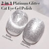 Picture of Double Rhythm 15ML Glitter Gel Polish Shimmer Reflective Holographic Color Magnetic for Nail Art Salon DIY at Home (MC1085)