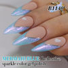 Picture of Double Rhythm 15ML Glitter Gel Polish Shimmer Reflective Holographic Color Magnetic for Nail Art Salon DIY at Home (B1140)