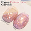 Picture of Double Rhythm 15ML Glitter Gel Polish Shimmer Reflective Holographic Color Magnetic for Nail Art Salon DIY at Home (B1144)