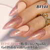 Picture of Double Rhythm 15ML Glitter Gel Polish Shimmer Reflective Holographic Color Magnetic for Nail Art Salon DIY at Home (B1144)