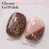Picture of Double Rhythm 15ML Glitter Gel Polish Shimmer Reflective Holographic Color Magnetic for Nail Art Salon DIY at Home (B1134)