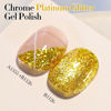 Picture of Double Rhythm 15ML Glitter Gel Polish Shimmer Reflective Holographic Color Magnetic for Nail Art Salon DIY at Home (B1126)