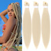 Picture of Gozill Blonde Brainding Hair Pre Streched 613 Kanekalon Prestretched Ez Braid Braiding Hair Colored Braiding Hair Extension