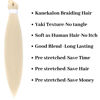 Picture of Gozill Blonde Brainding Hair Pre Streched 613 Kanekalon Prestretched Ez Braid Braiding Hair Colored Braiding Hair Extension
