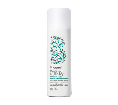 Picture of Briogeo Destined For Density Caffeine + Biotin Peptide Density Shampoo, Increases Hair Thickness and Density for Fine or Thinning Hair, Vegan, Cruelty-Free, 8 fl oz
