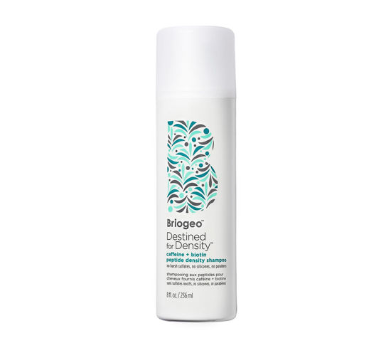 Picture of Briogeo Destined For Density Caffeine + Biotin Peptide Density Shampoo, Increases Hair Thickness and Density for Fine or Thinning Hair, Vegan, Cruelty-Free, 8 fl oz