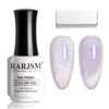Picture of RARJSM Cat Eye Gel Nail Polish Aurora Violet Purple Velvet Silver Glitter Universal Galaxy Shimmer Ice Gel Polish with Magnet Stick Single Bottle 15ml LED UV Curing Requires Soak Off Salon Home