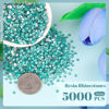 Picture of 5000PCS 3mm Resin Rhinestones in Bulk (Lake Blue/Aquamarine), Bedazzling Flatback Crystals for Crafts DIY Nail Decoration, Gems Charms for Tumbler Shoes Clothing Fabric with Pickup Pen and Tweezers