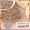 Picture of 5000PCS 3mm Resin Rhinestones in Bulk (Champagne), Bedazzling Flatback Crystals for Crafts DIY Nail Decoration, Gems Charms for Tumbler Shoes Clothing Fabric with Pickup Pen and Tweezers