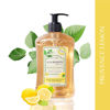 Picture of A LA MAISON French Liquid Hand Soap, Provence Lemon - Natural Hand Wash Made with Essential Oils - Biodegradable, Plant-Based, Vegan, Cruelty-Free, Alcohol & Paraben Free (16.9 oz, 1 Pack)
